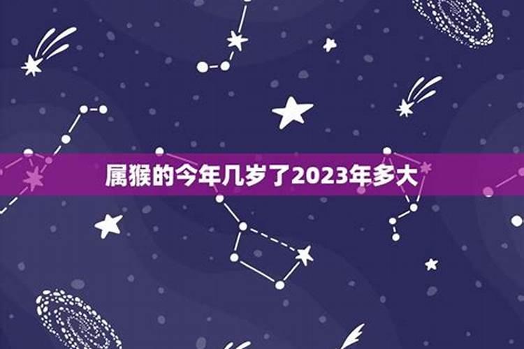 属猴2021年今年多大