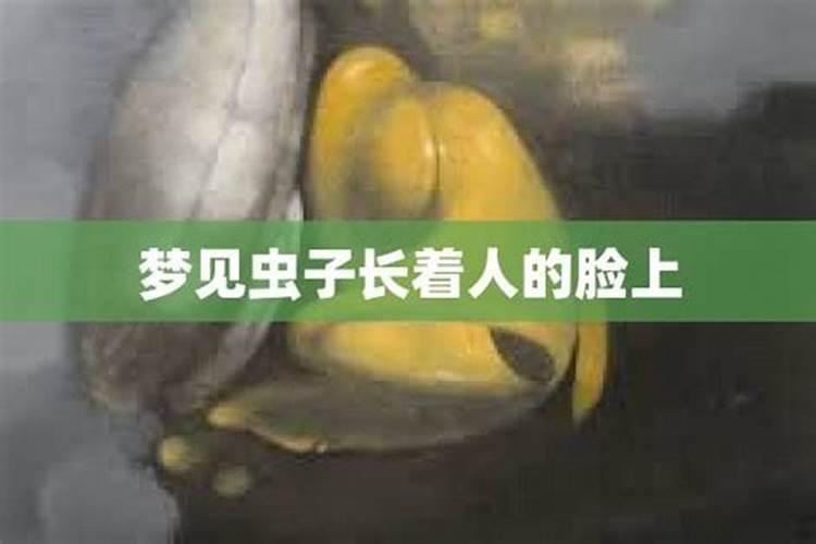 梦到虫子是什么意思孕妇