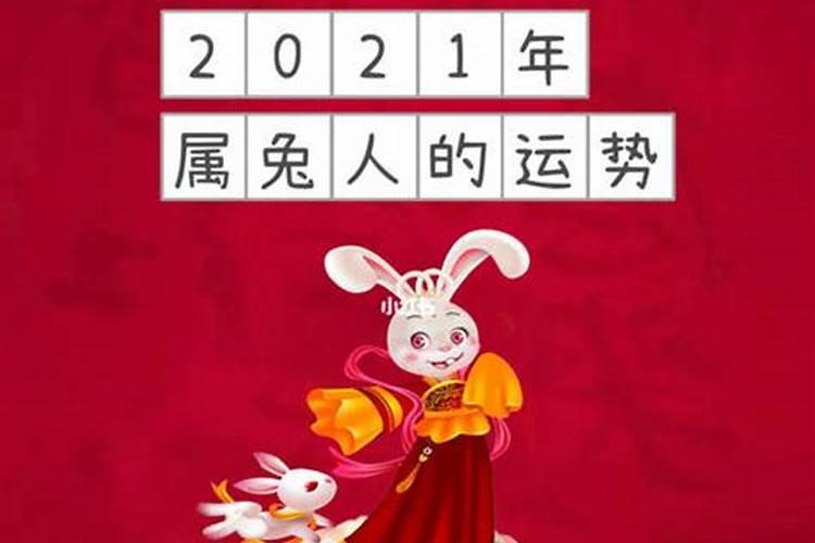 属兔2021年运势大家找算命网