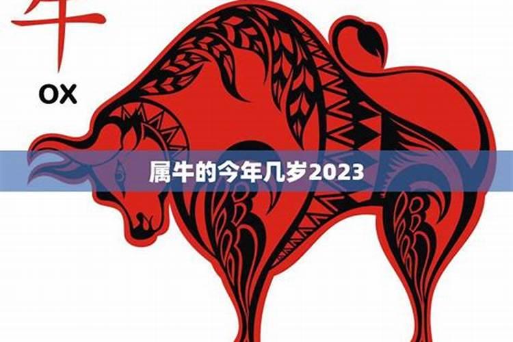 属牛的今年几岁了2021