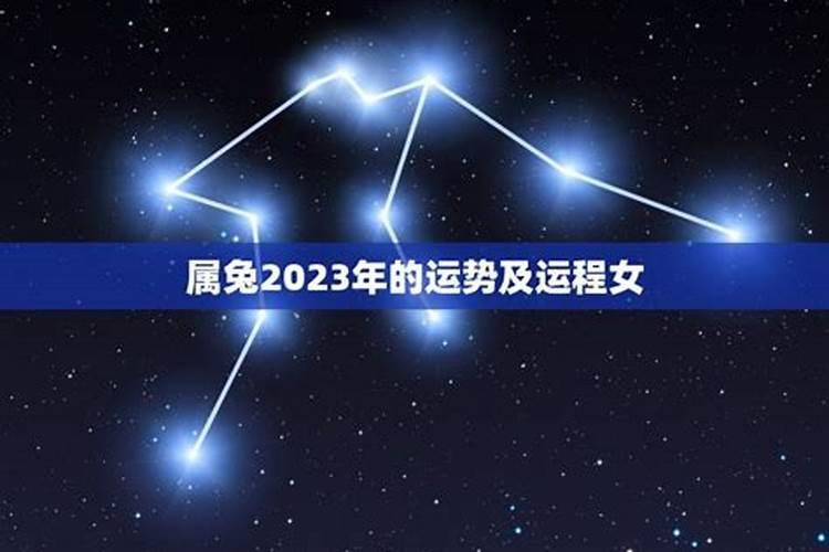 43岁属兔女2023年运势