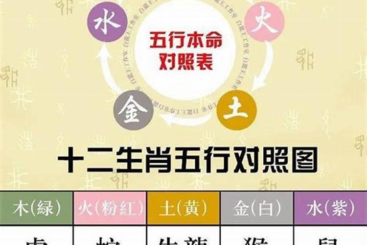 如何查自己五行属性什么缺什么