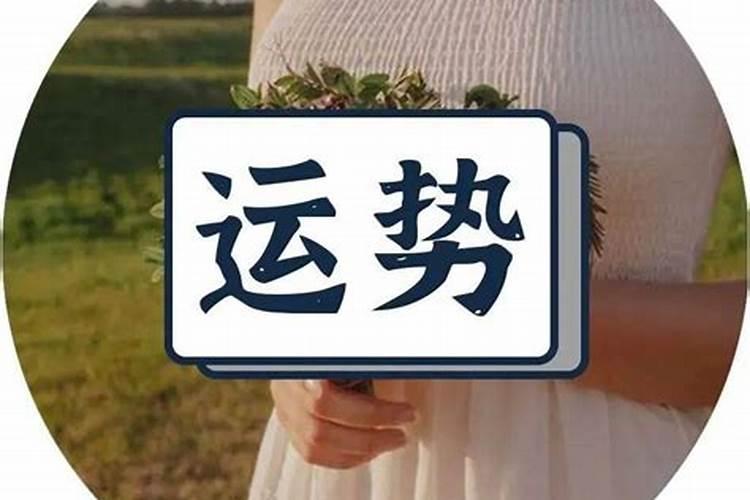 八字命理师收入高吗女性