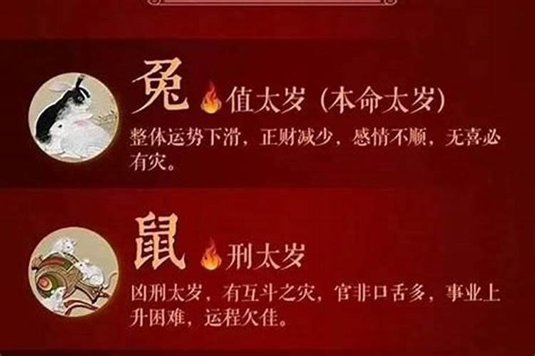 犯太岁的属相如何规避财运