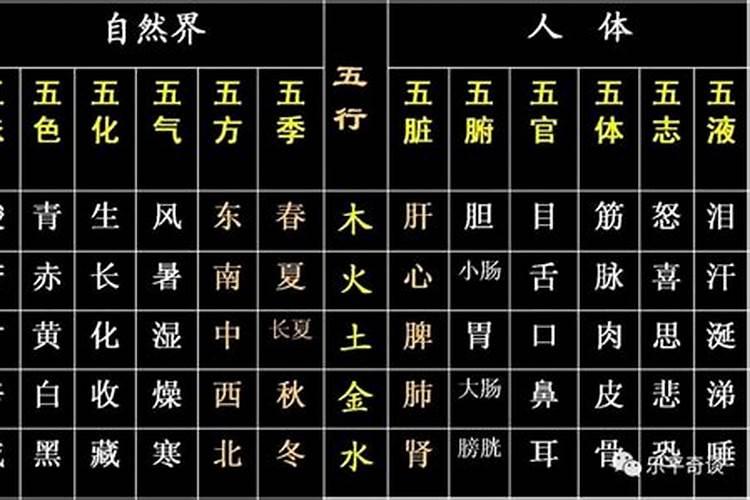 汇字属于五行属什么行业