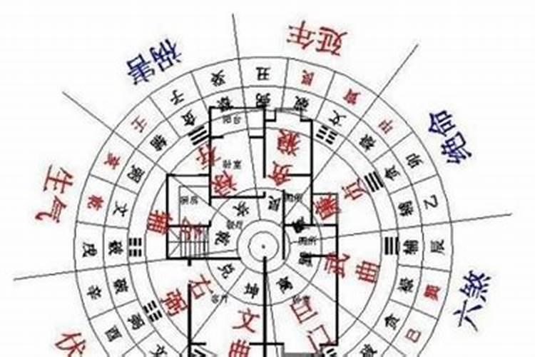 刚怀孕的孕妇梦到蛇是什么意思啊