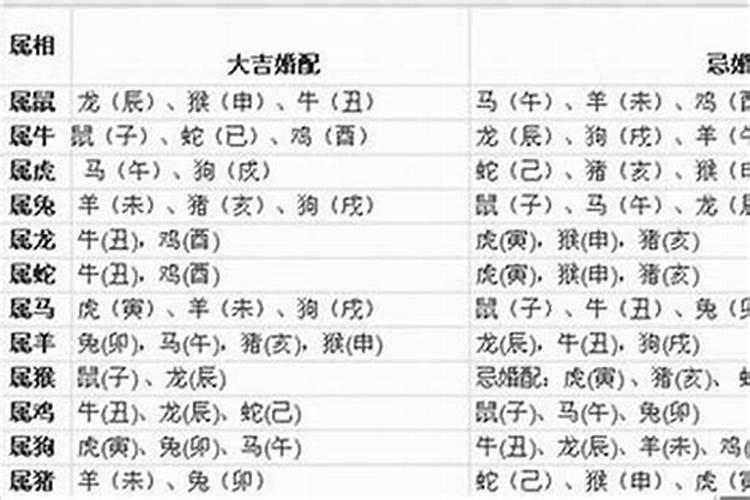 1963年属兔的人2015年运程