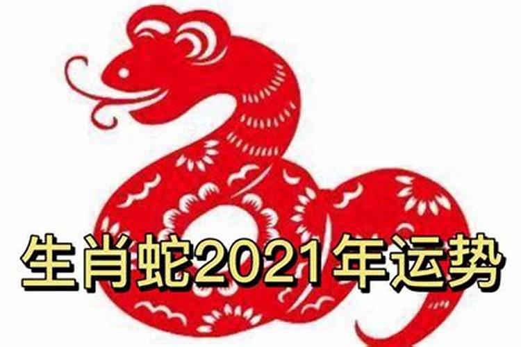 2023年生肖蛇的贵人