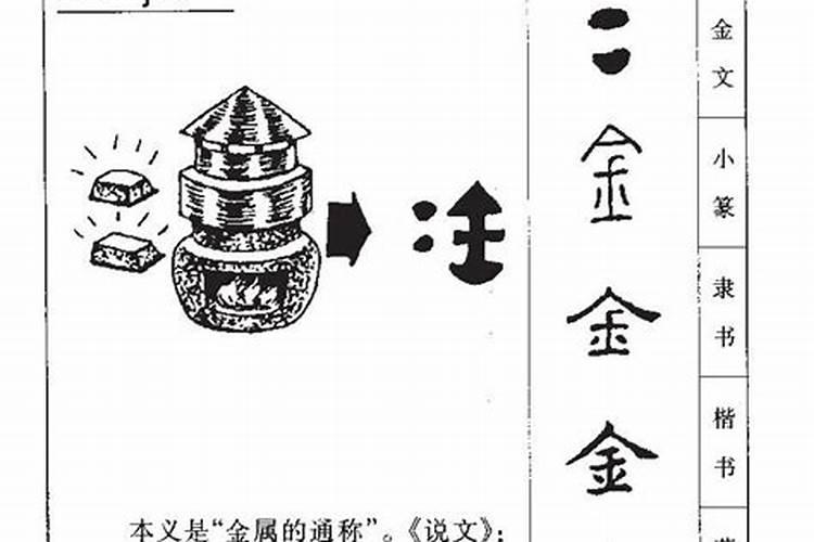 金字的五行属性是什么