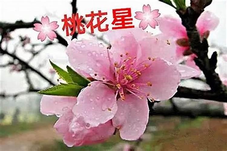 八字是否带桃花