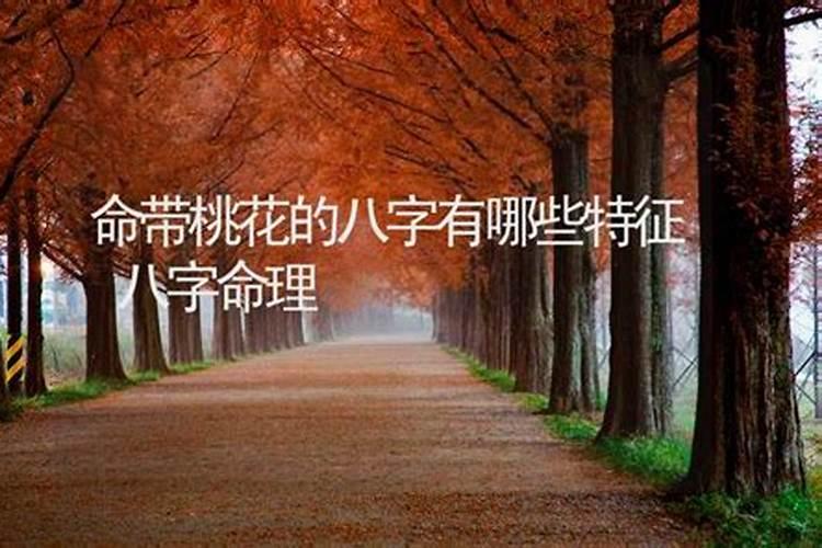 什么八字桃花带合