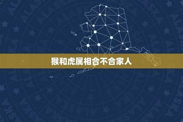 家庭中属相相冲怎么办