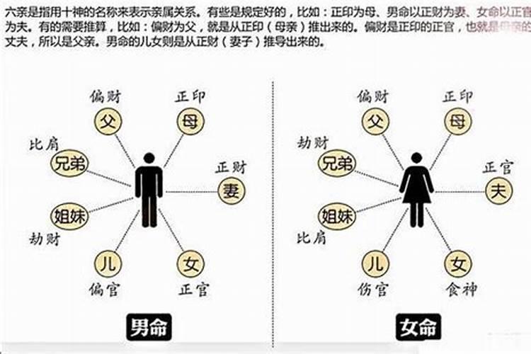 十神四柱批八字的关系是什么