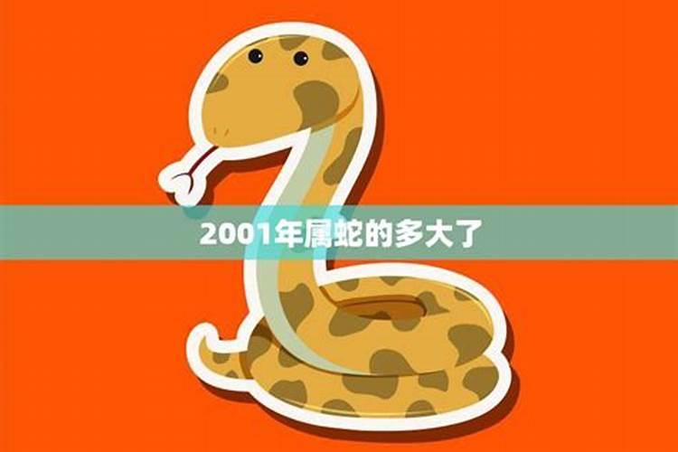 属蛇2001年多大结婚好