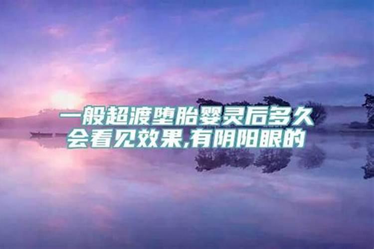 小家子气出过什么生肖