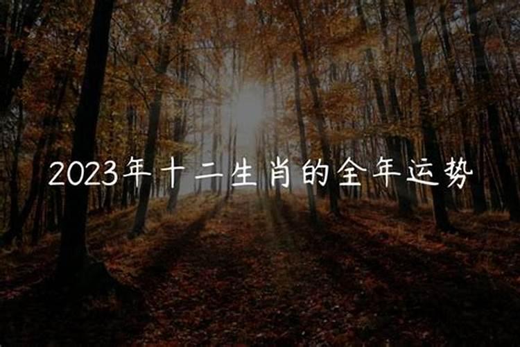 2023年属12生肖运势如何