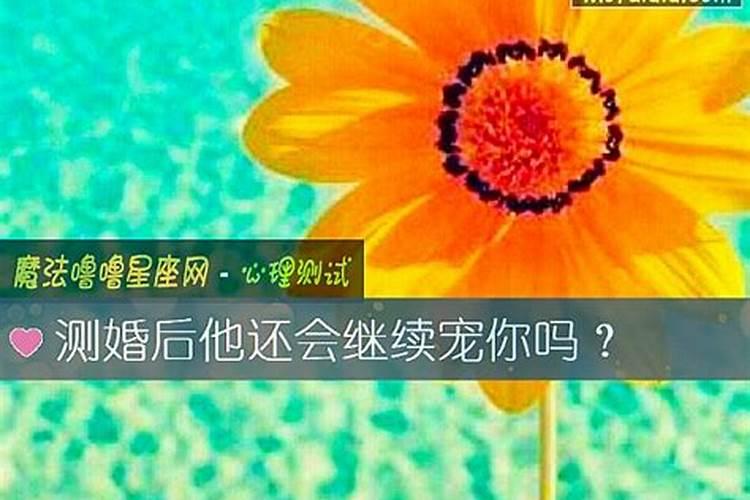 三十三岁是属什么生肖