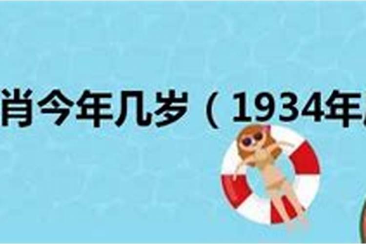 1934年属什么生肖