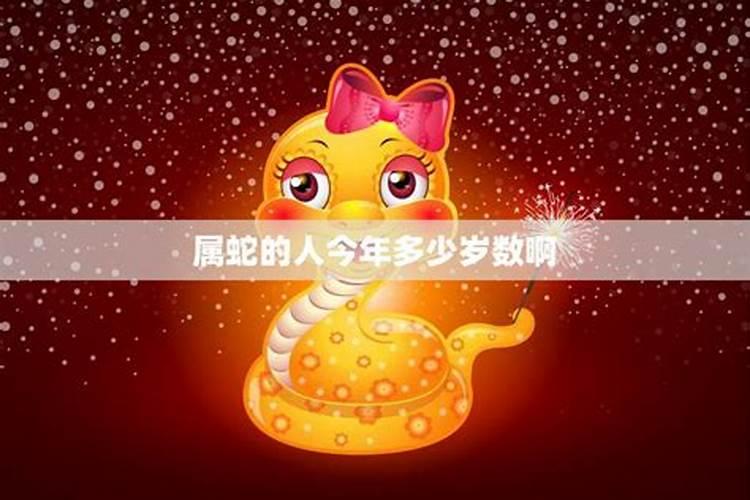 属蛇今年多少大年龄了呀