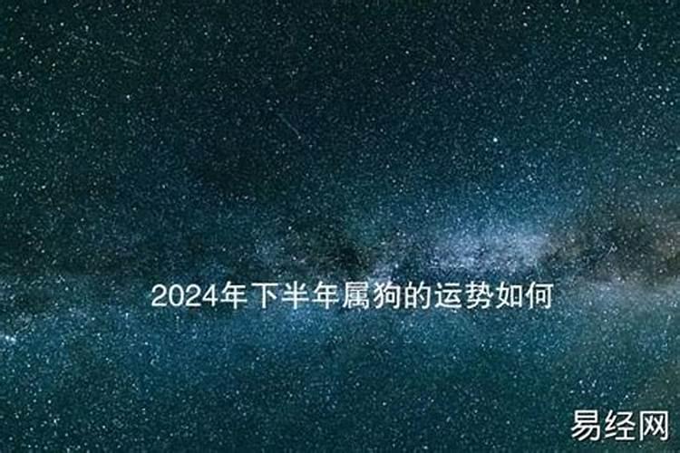 2020年下半年属狗的