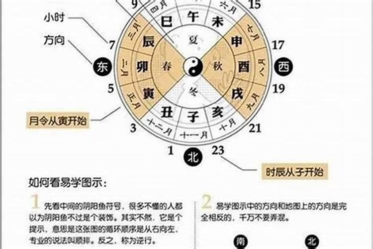 属蛇人2023年下半年运势及运程