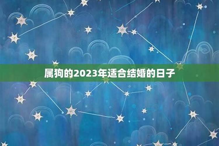 属狗2022年适合结婚吗