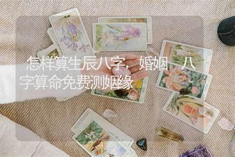 女人梦到槐花还摘槐花