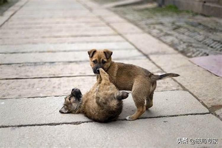 梦见自己和别人发生争执是什么意思