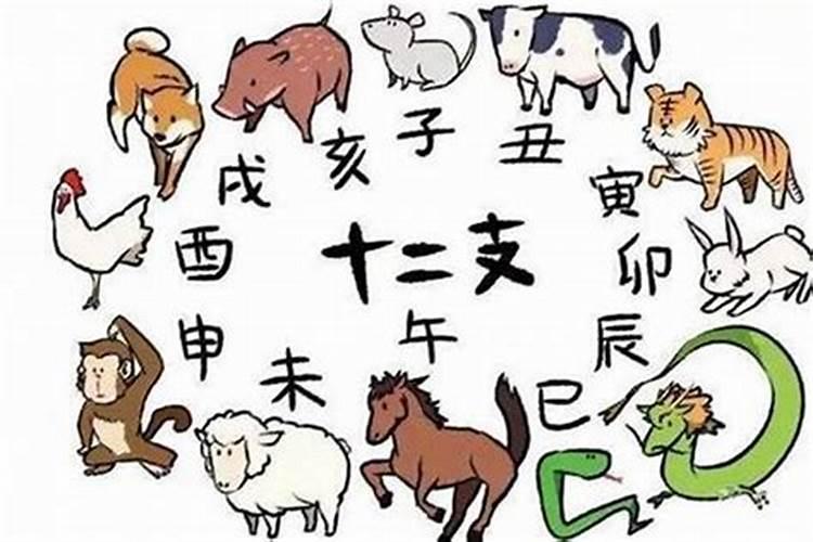 回头的生肖是什么