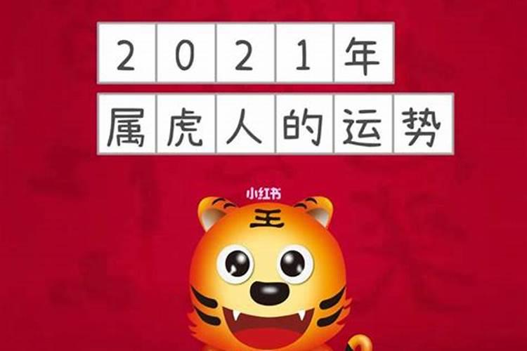 属虎的人今年运势2022