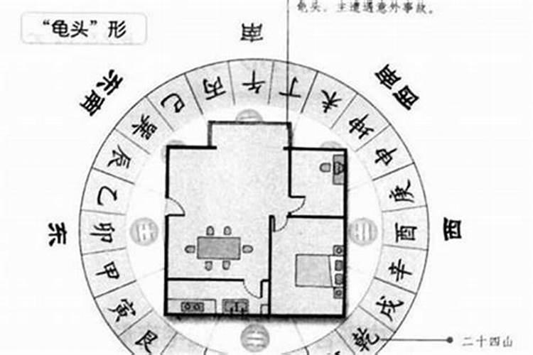 1997属牛最佳婚配属相