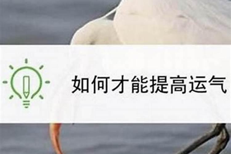 怎样才能提升运势