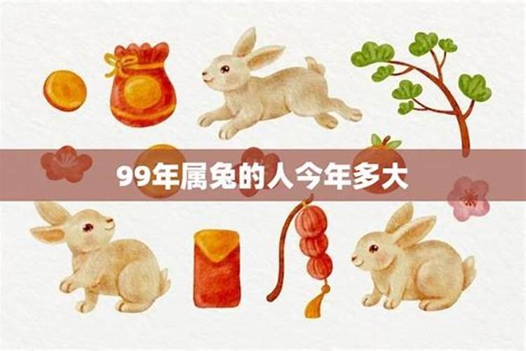 99年属兔的今年几岁了啊