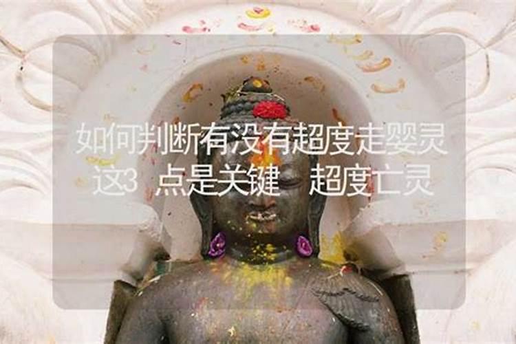 属兔的今年三月运势如何