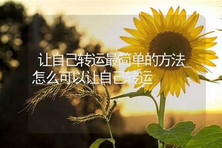 关于清明节传统风俗的报告怎么写啊