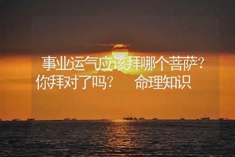 梦到蛇皮预示着什么意思