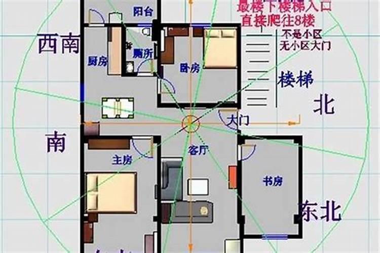 虎年犯太岁的属相是什么生肖