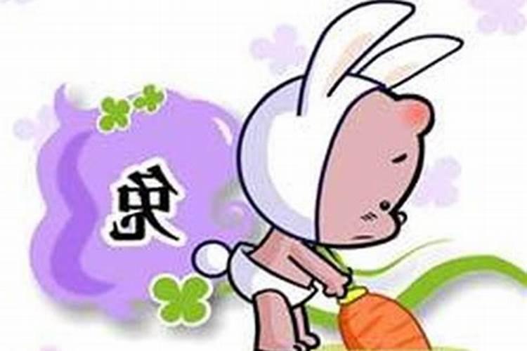 属猪今年12月运势如何