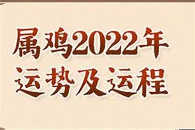 属鸡的人有横财吗2022年