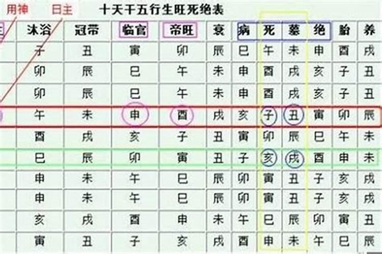 八字里的身弱身旺什么意思