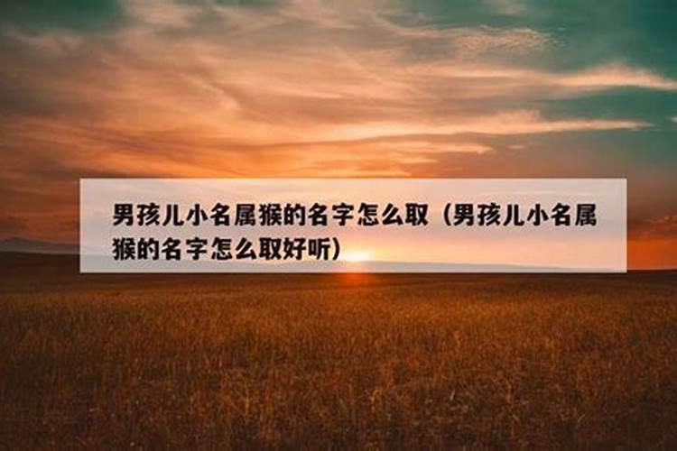 属猴的开公司起什么名旺财