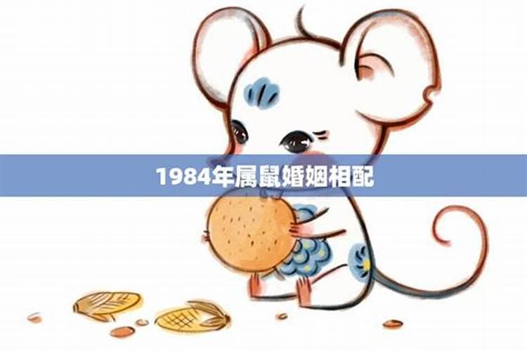 1984年属鼠人最佳配偶属相