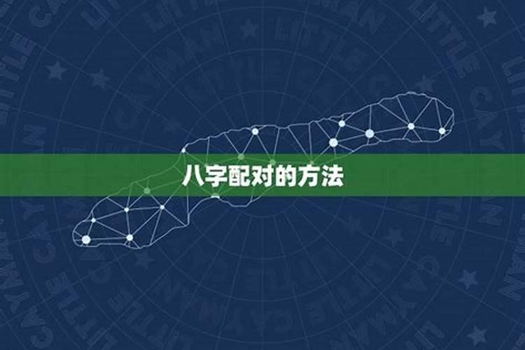 生肖属虎人2024年运势运程