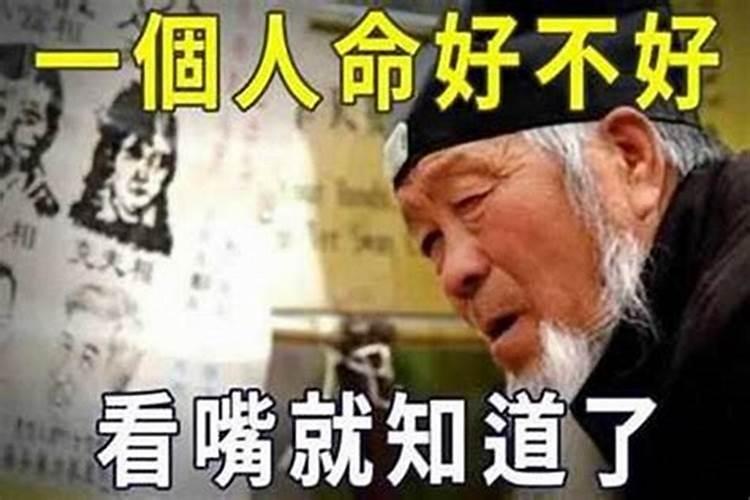 盲人生肖是什么生肖