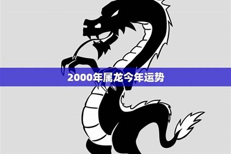 鸡属鸡2024年运势运程