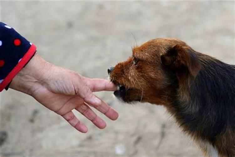 婚姻是人生第几阶段的