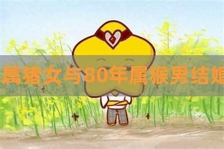 83年男猪和80年女猴属相结婚的后果