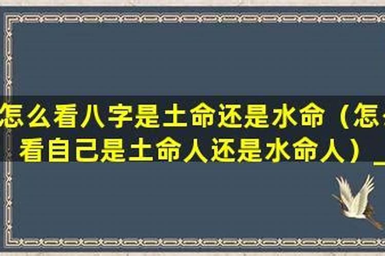 南方过元宵节的风俗有哪些