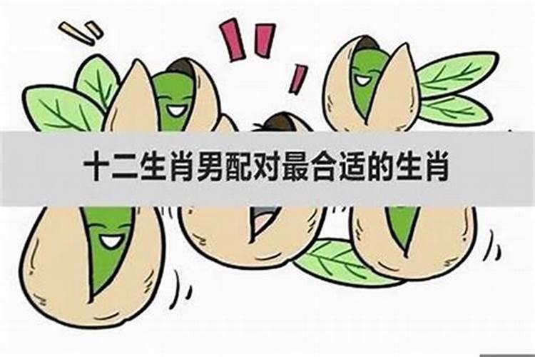 梦见自己爸爸和哥哥