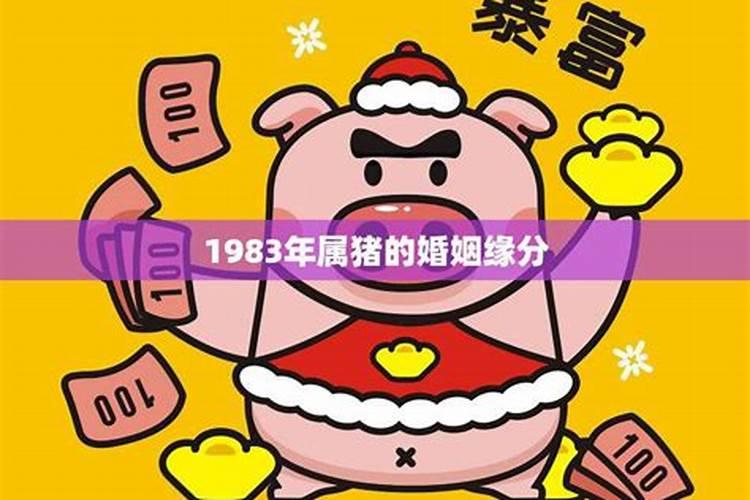 1983年属猪女人的婚姻状况